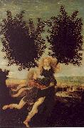 Antonio Pollaiuolo Apollo and Daphne china oil painting artist